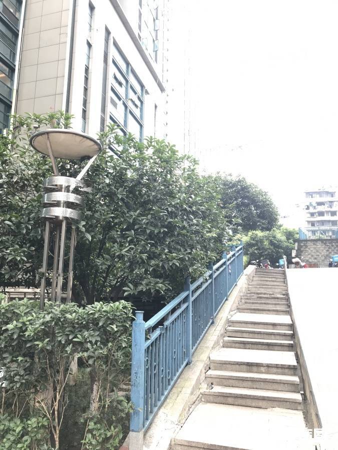 北城旺角实景图图片