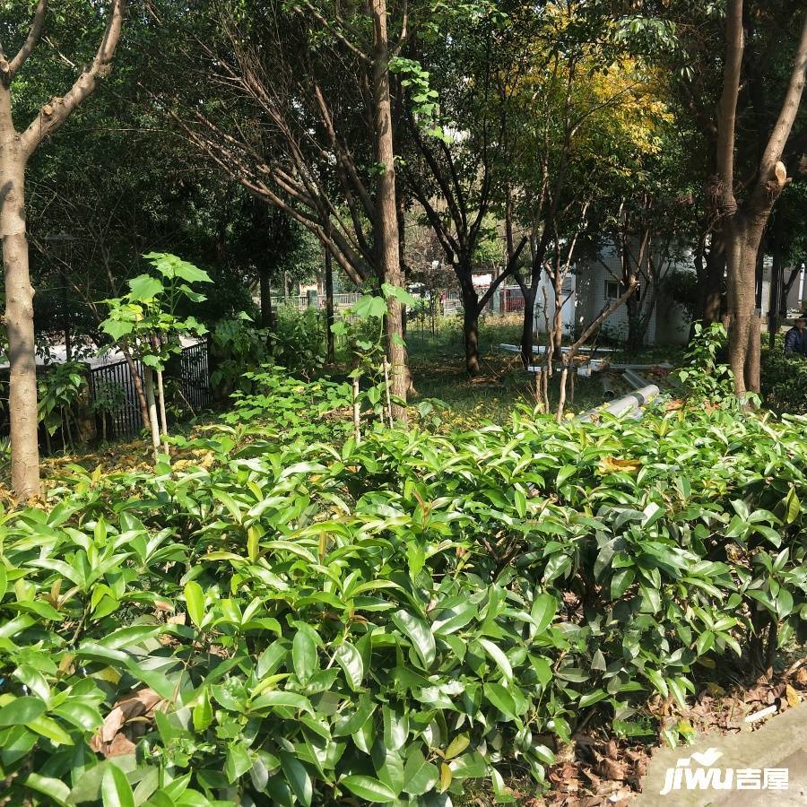 盘龙花园实景图图片
