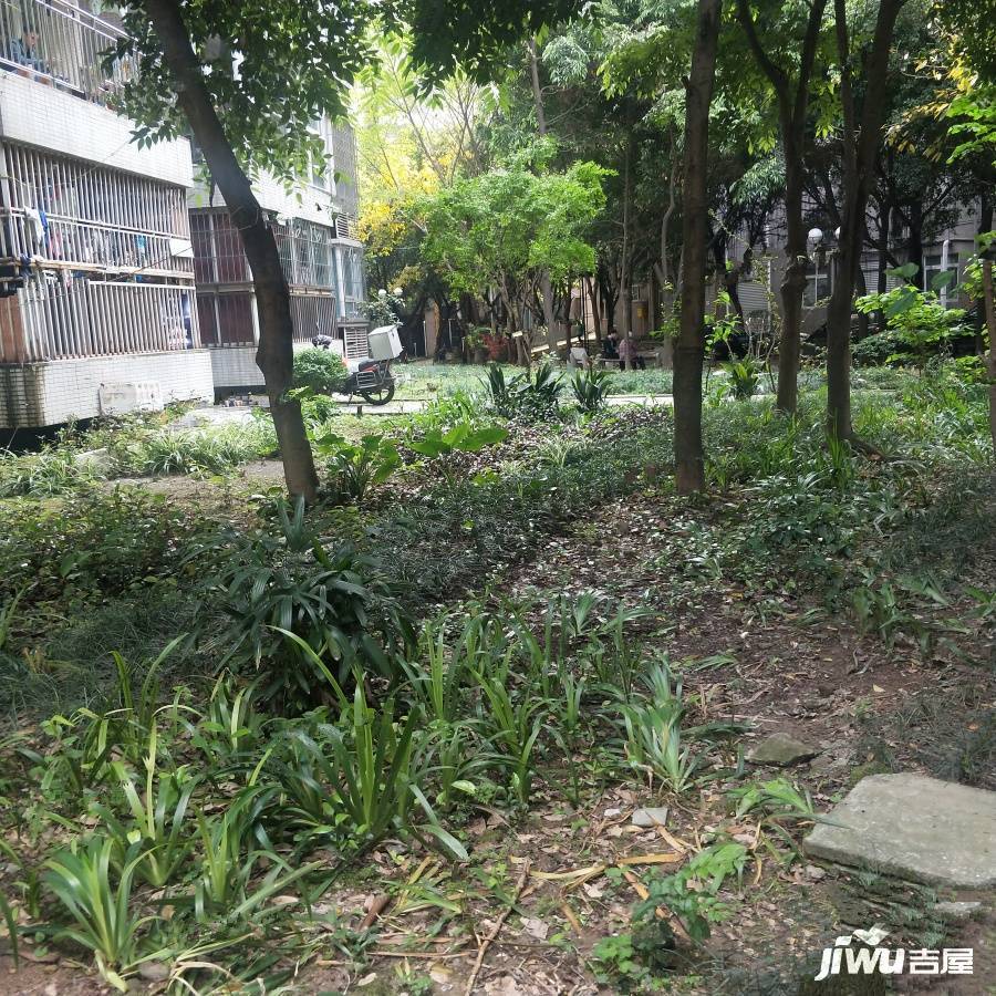 盘龙花园实景图图片