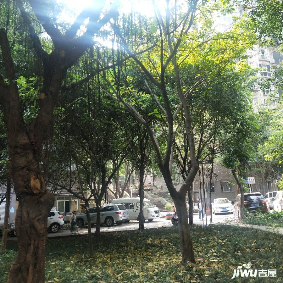 盘龙花园实景图图片