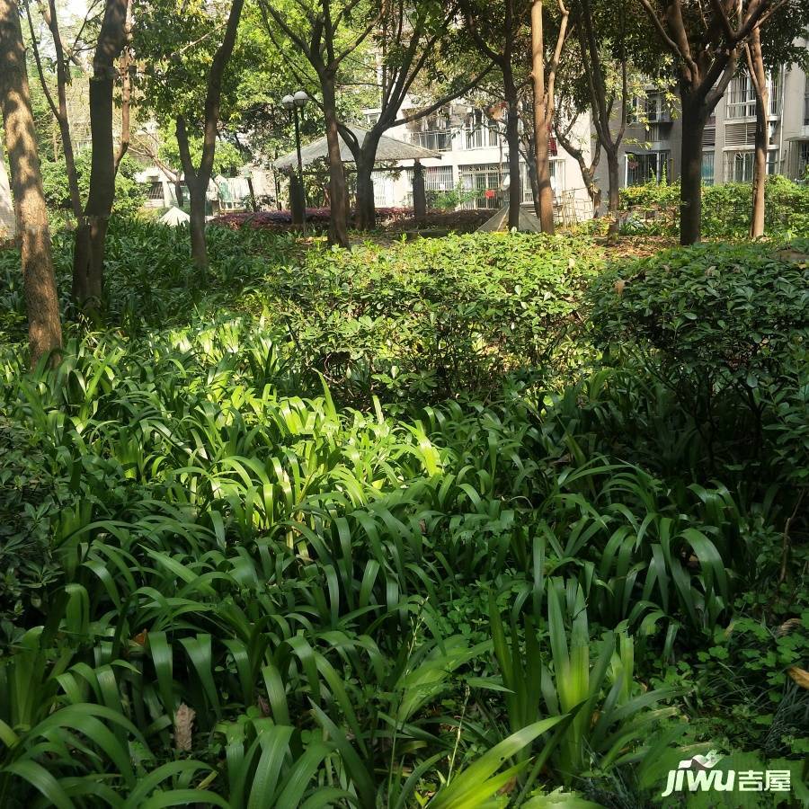 盘龙花园实景图图片