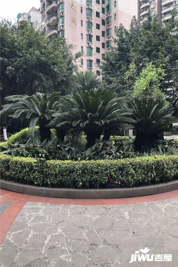 珠江花园北区实景图图片
