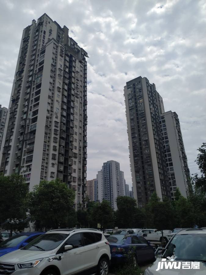 盛世龙都A区实景图图片