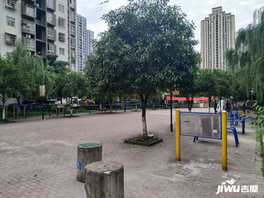 盛世龙都A区实景图图片