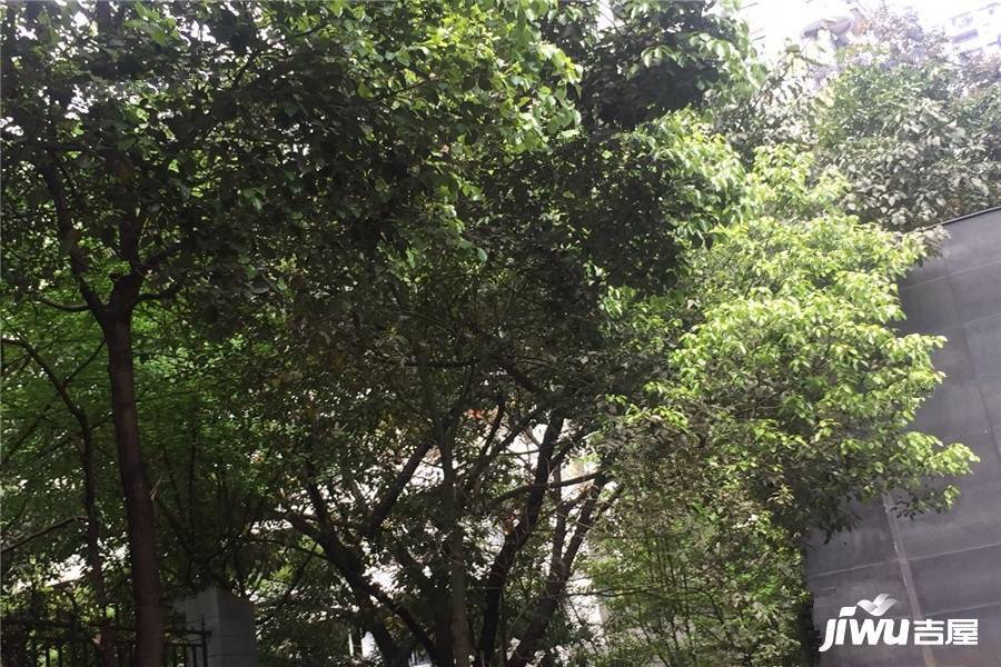 卡门时光实景图图片