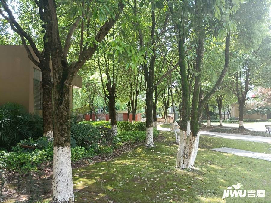 同景国际城迈上2实景图图片