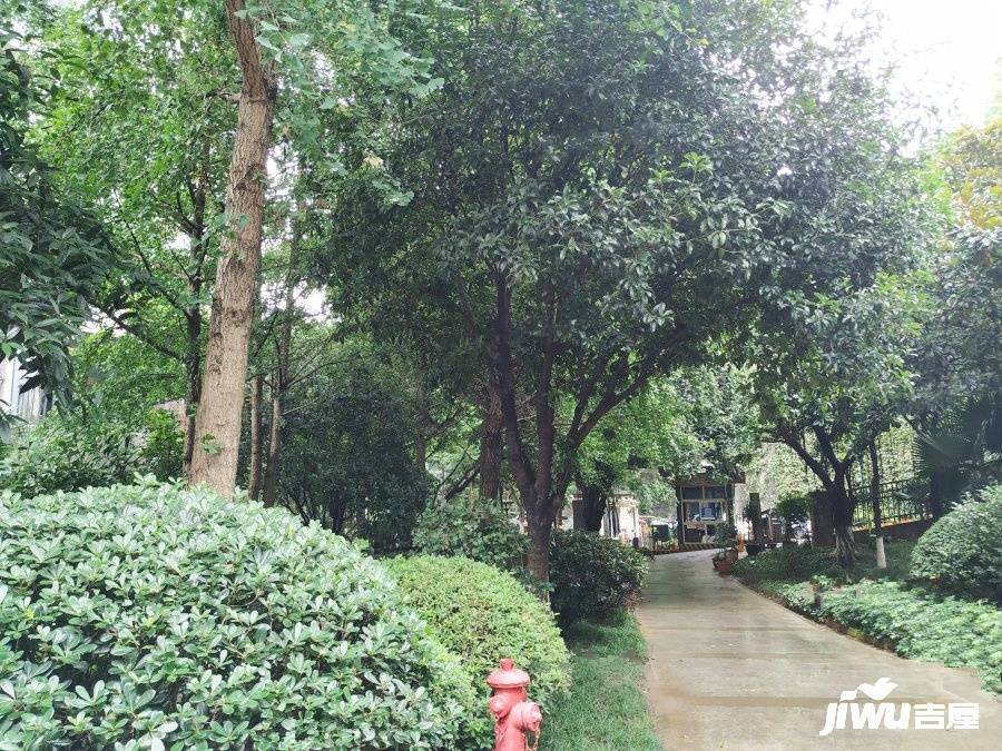 金辉融侨半岛云满庭D区实景图图片