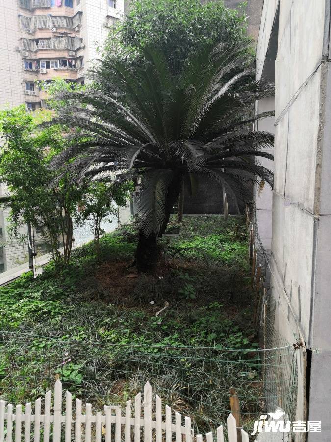 中华广场商住楼实景图图片