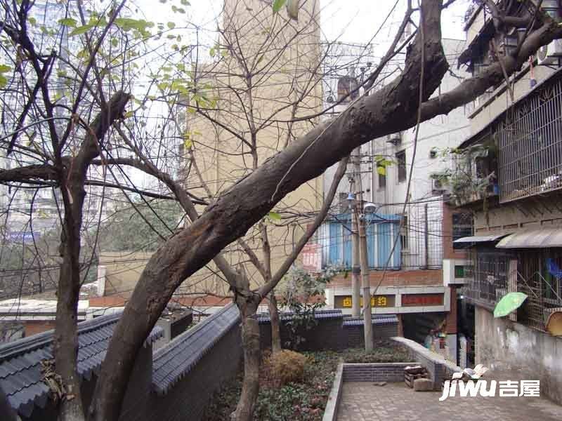 枣子岚垭菜市巷实景图图片