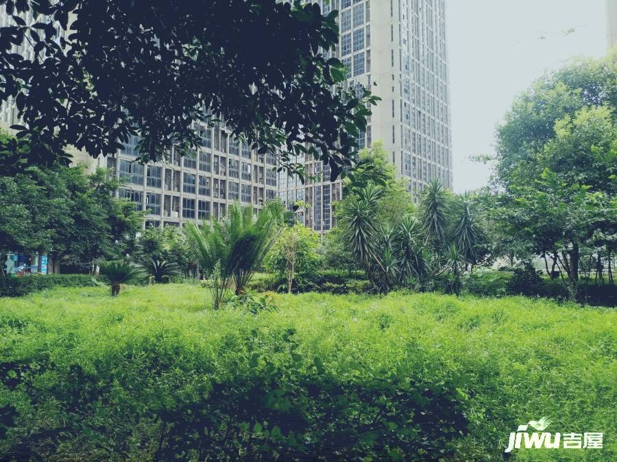 浪高亮阁实景图图片