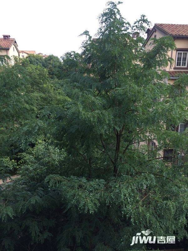 龙湖弗莱明戈实景图图片