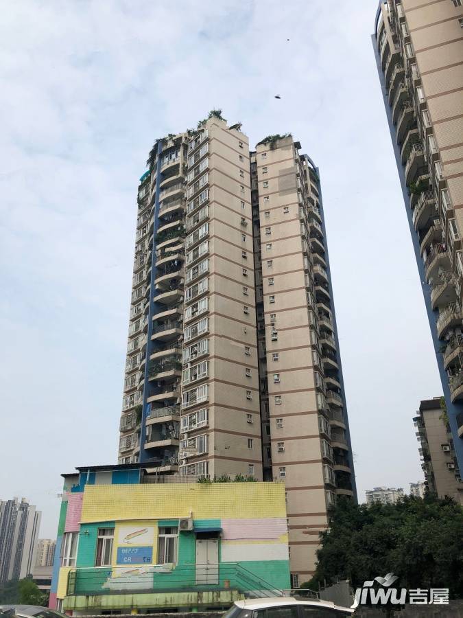 天缘居实景图图片