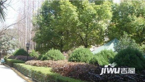 南秀村7号实景图图片