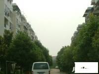 宁南小区实景图图片