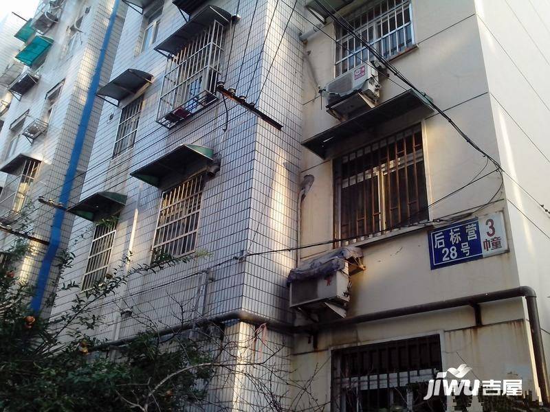 后标营28号实景图图片