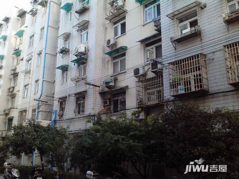 后标营28号实景图图片