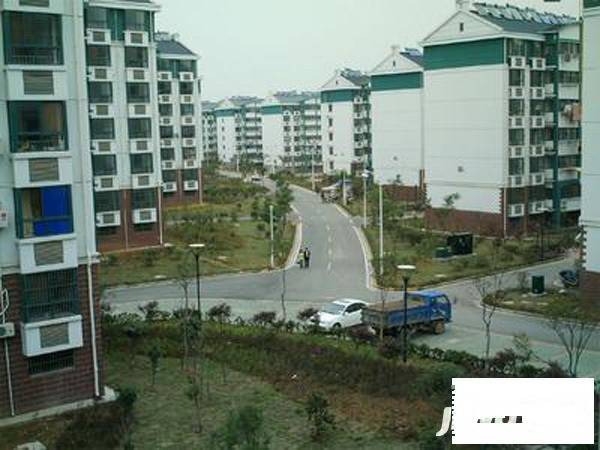 天景山公寓实景图图片