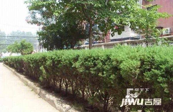 五小区实景图图片