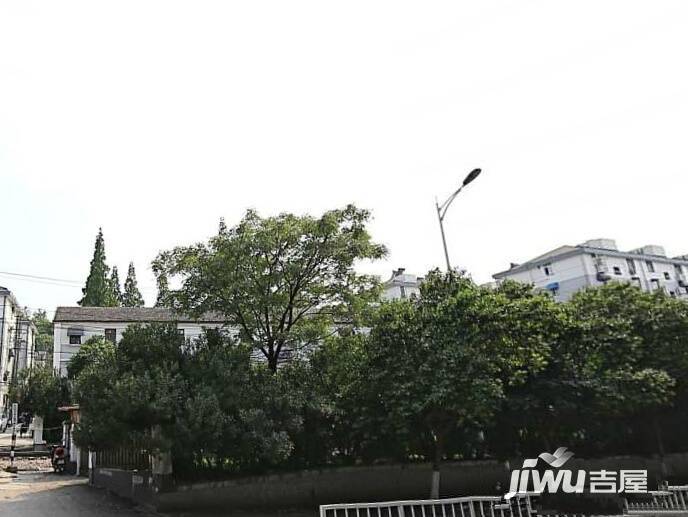 梅花村实景图图片