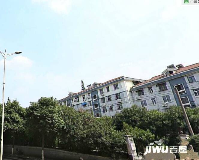梅花村实景图图片