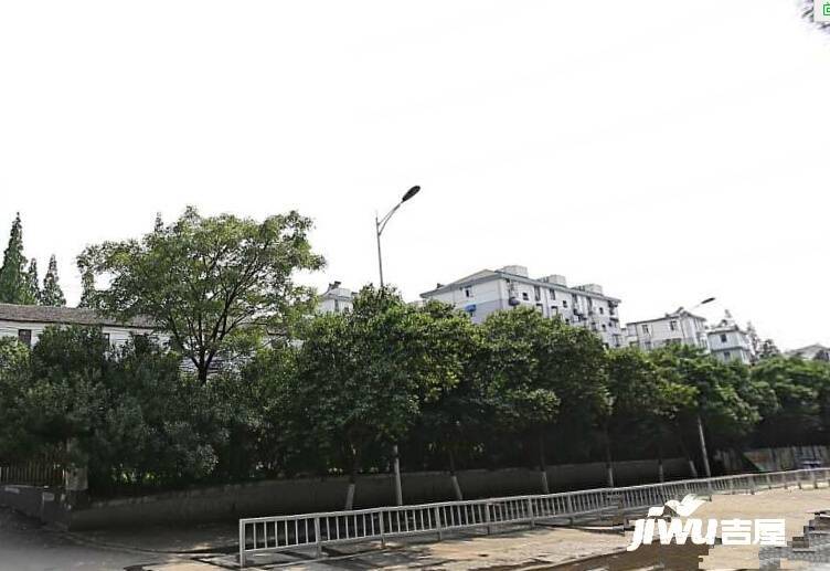 梅花村实景图图片
