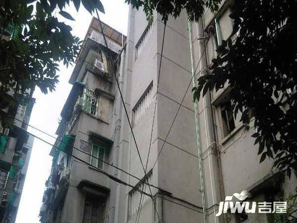 梅花村实景图图片