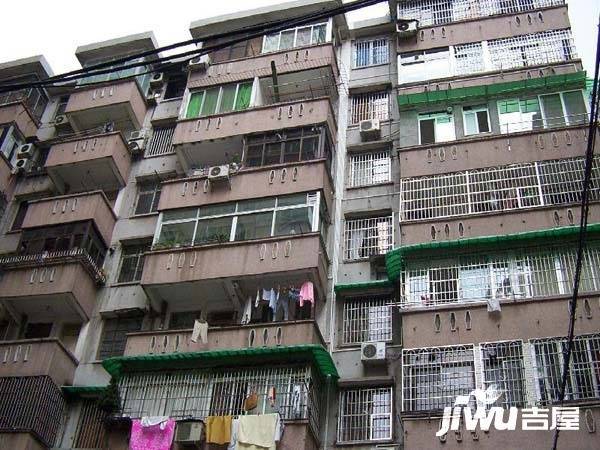 梅花村实景图图片