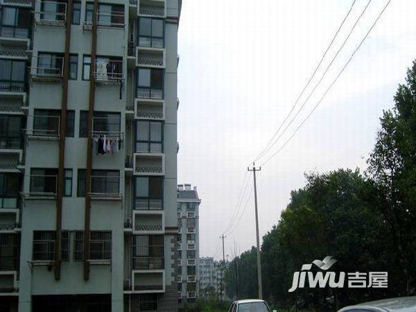 横岭村住宅实景图图片