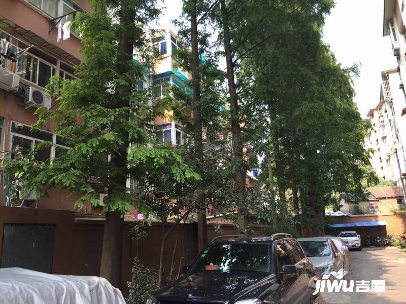 锁金村7号实景图图片