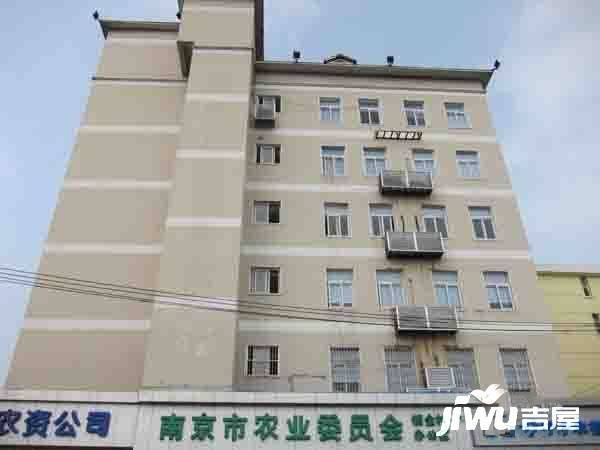 锁金村4号实景图图片