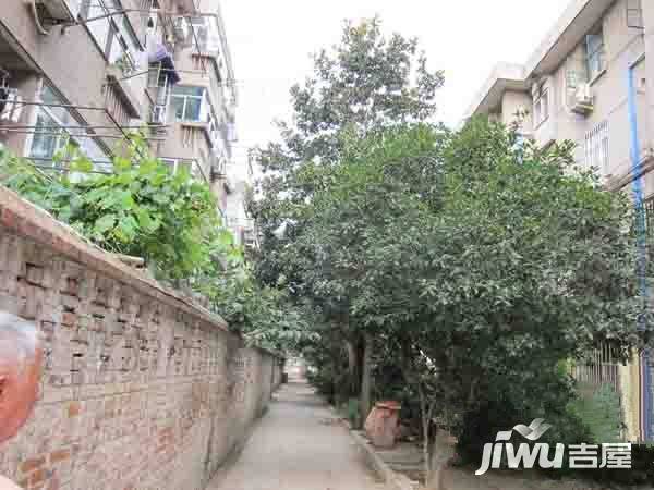 锁金村4号实景图图片