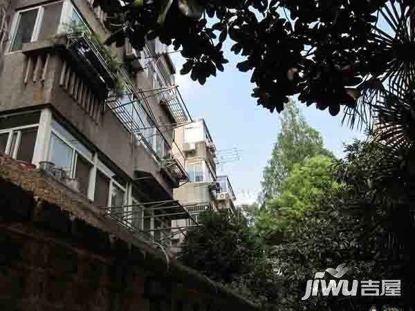 锁金村4号实景图图片