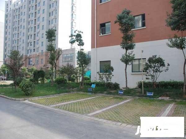 金马郦城实景图图片