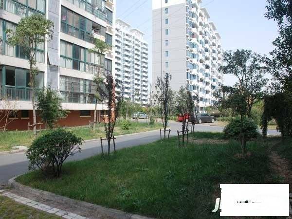 金马郦城实景图图片