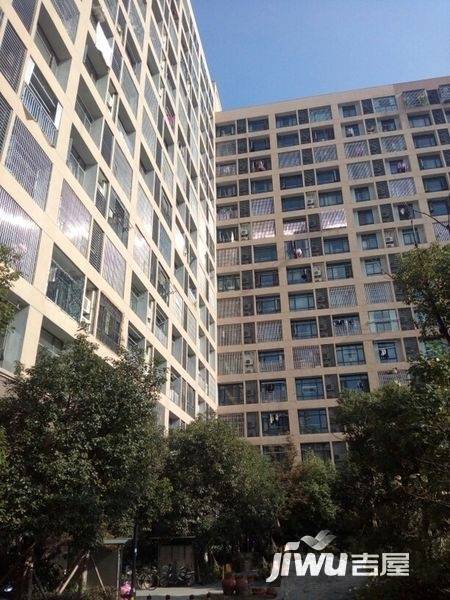 盛世公馆实景图图片