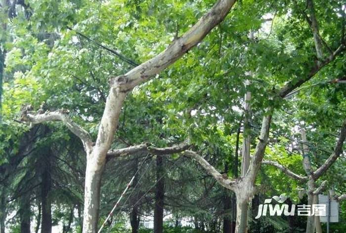 南钢一村实景图图片