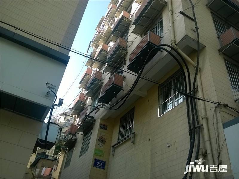 广州路拉小实景图图片