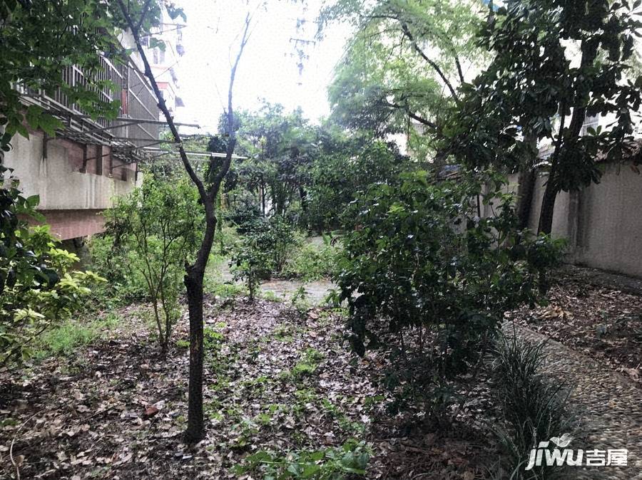 文云巷小区实景图图片