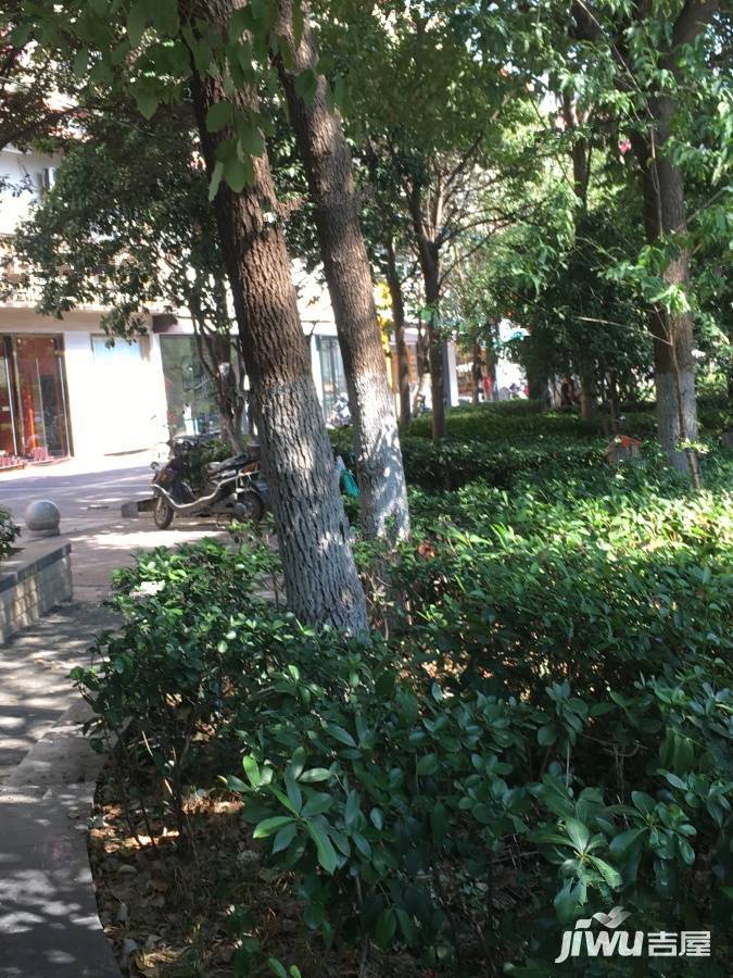 新城市广场摩尔特区实景图图片