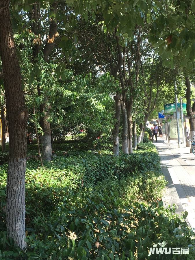 新城市广场摩尔特区实景图图片