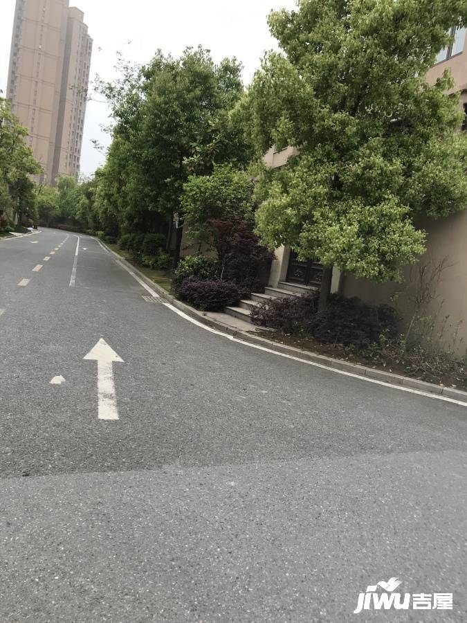 罗托鲁拉小镇实景图图片