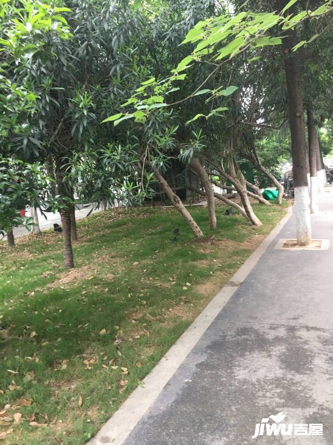 同坤大厦实景图图片