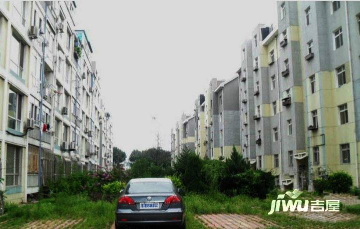泡崖康馨园实景图图片