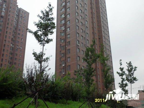 长鹭晶品枫林实景图图片