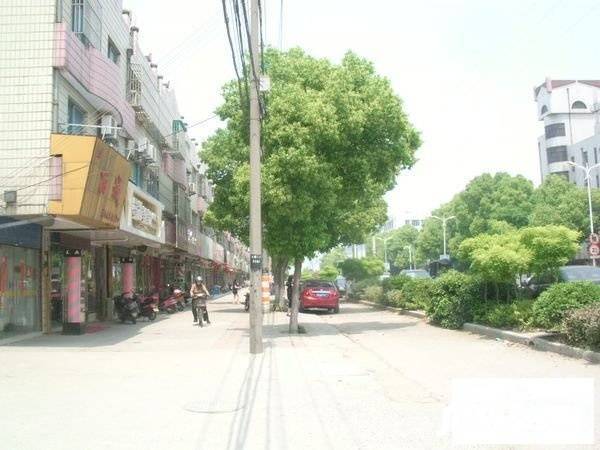 兴湖东街实景图图片