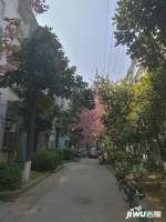 新扬名新村实景图图片