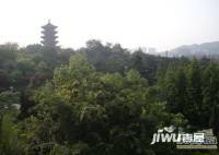 李村公园社区实景图图片