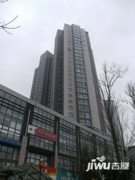 城建TOPTOWN鼎都实景图图片