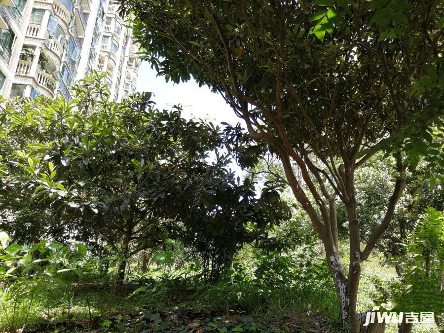 世纪城忆春苑实景图图片