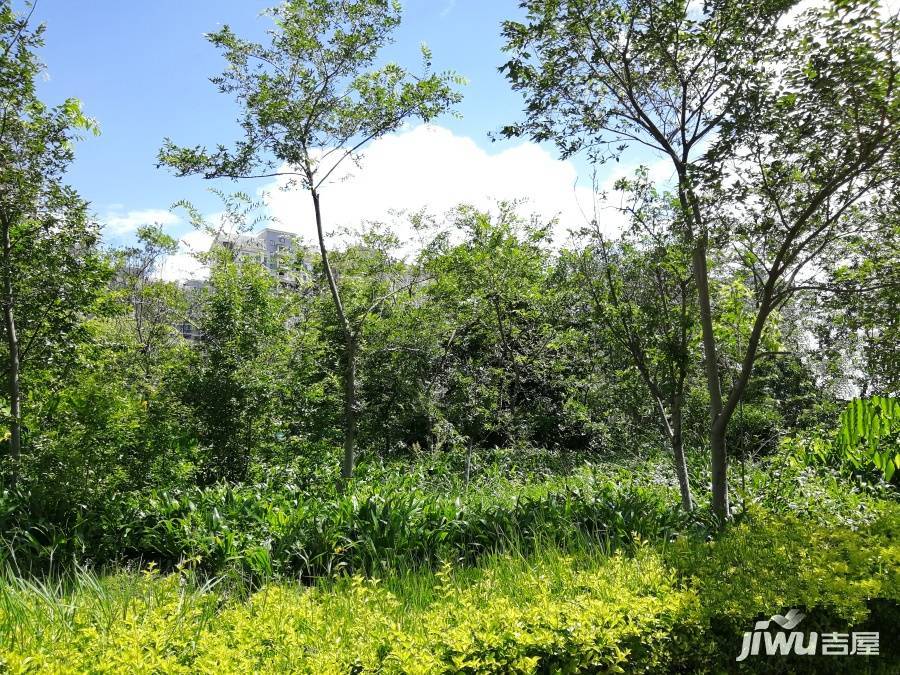 世纪城迎春苑实景图图片